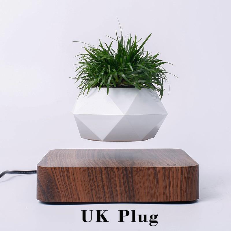 Levitating Air Bonsai Pot - TwoProducts.net