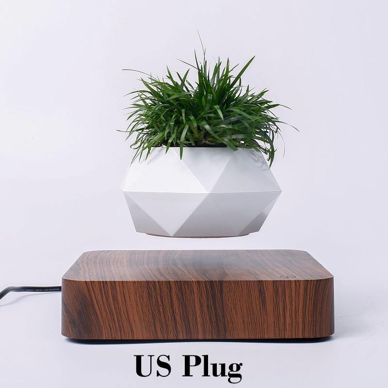 Levitating Air Bonsai Pot - TwoProducts.net