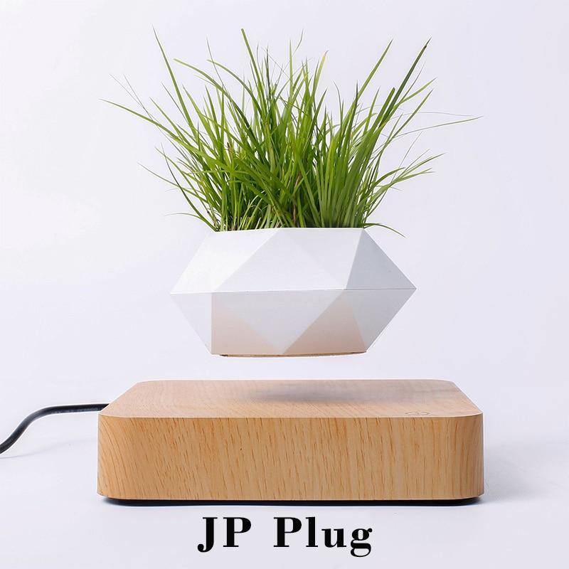 Levitating Air Bonsai Pot - TwoProducts.net