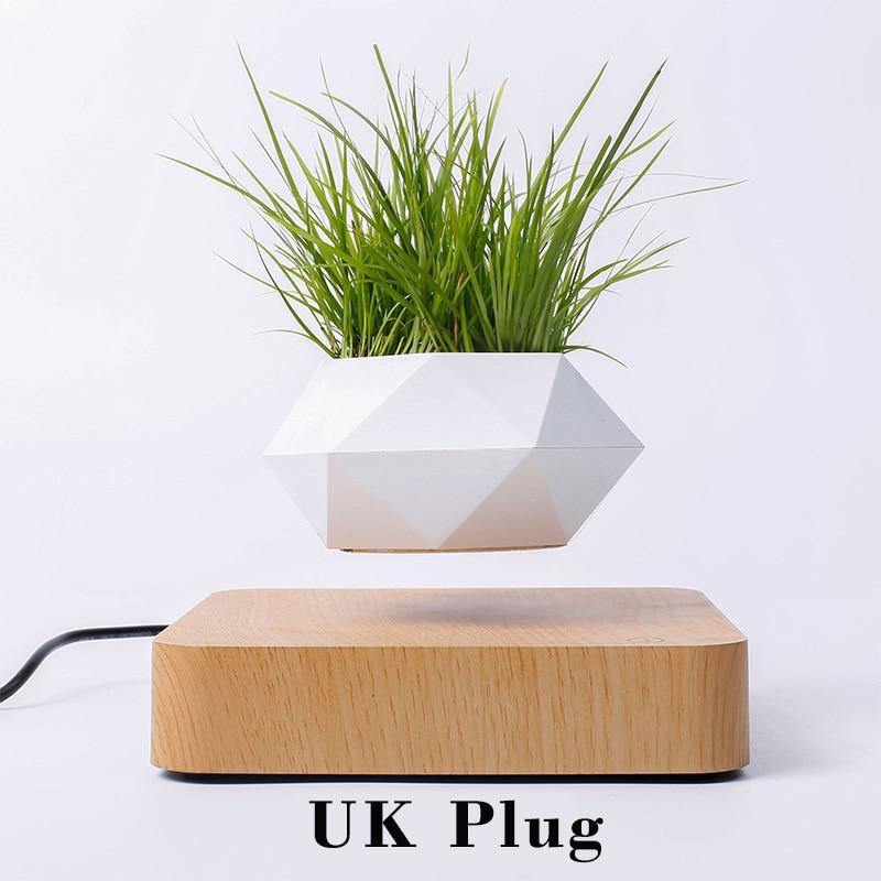Levitating Air Bonsai Pot - TwoProducts.net
