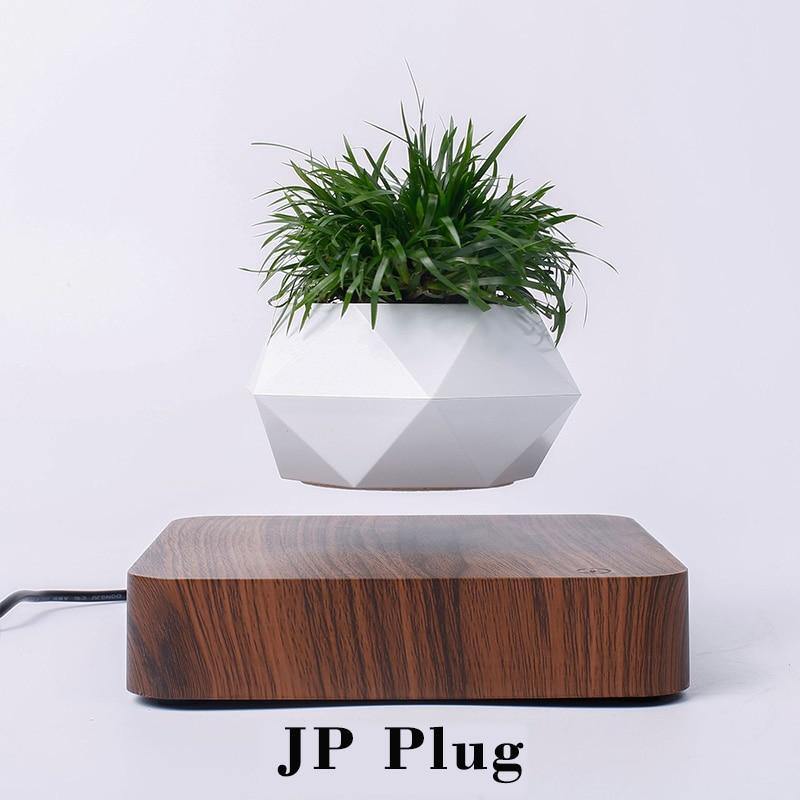 Levitating Air Bonsai Pot - TwoProducts.net