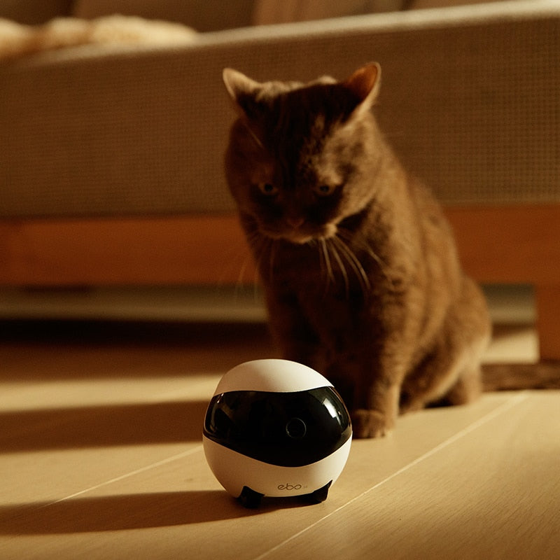 WiFi Smart Home Companion Robot Camera