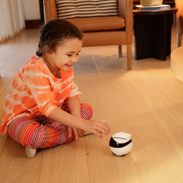 WiFi Smart Home Companion Robot Camera