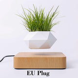 Levitating Air Bonsai Pot - TwoProducts.net