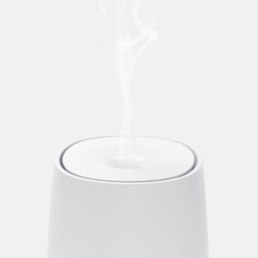 Aromatherapy Diffuser And Essential Oil - TwoProducts.net