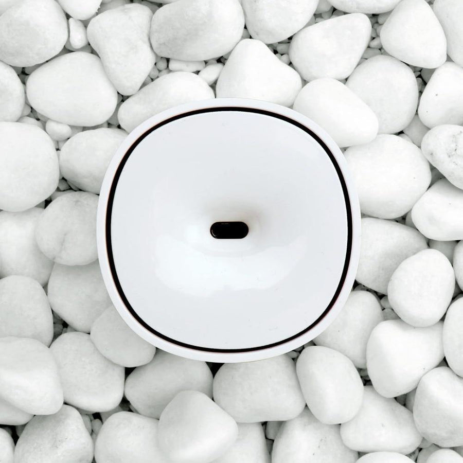 Aromatherapy Diffuser And Essential Oil - TwoProducts.net