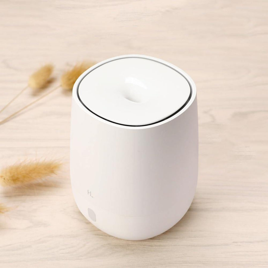 Aromatherapy Diffuser And Essential Oil - TwoProducts.net