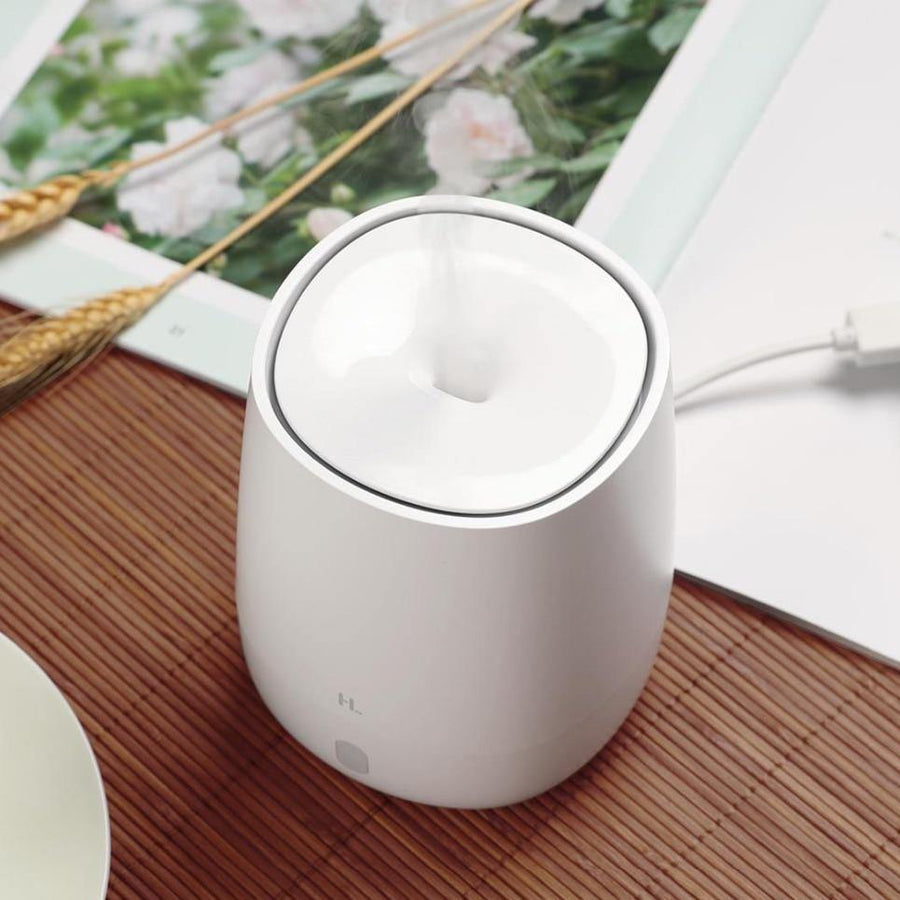 Aromatherapy Diffuser And Essential Oil - TwoProducts.net