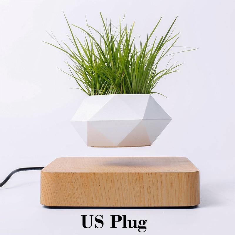 Levitating Air Bonsai Pot - TwoProducts.net