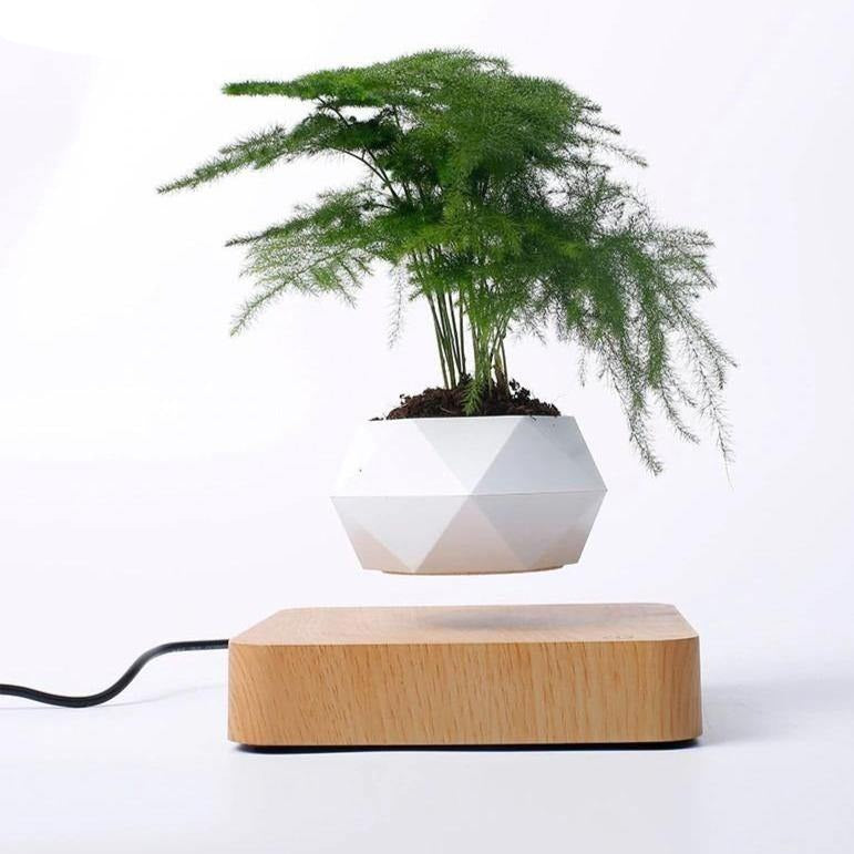 Levitating Air Bonsai Pot - TwoProducts.net