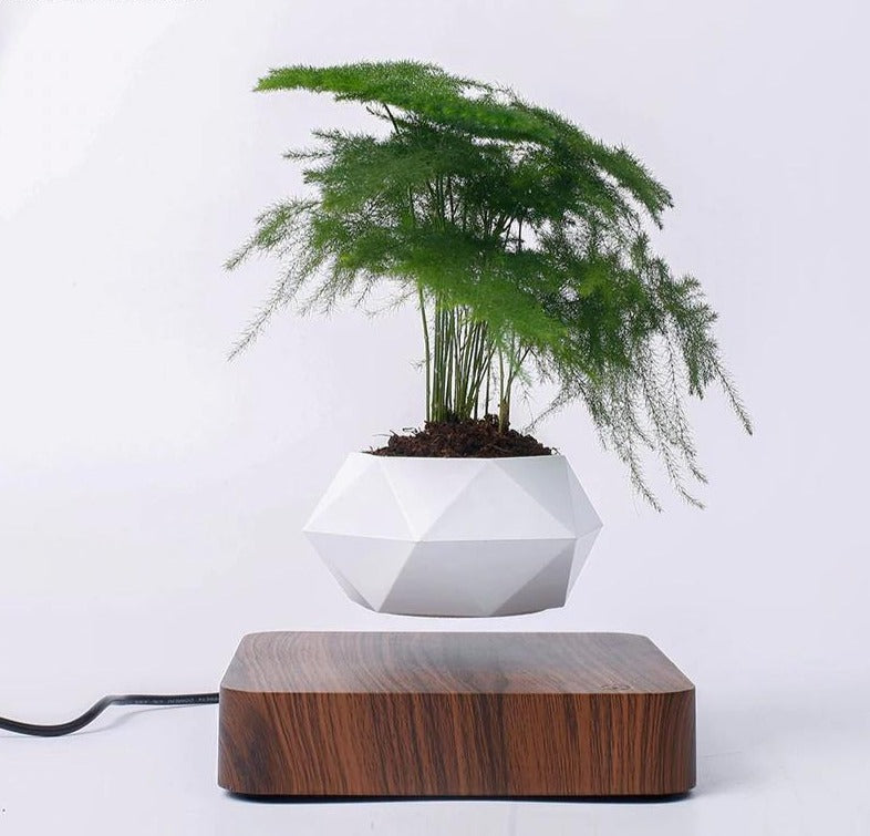 Levitating Air Bonsai Pot - TwoProducts.net