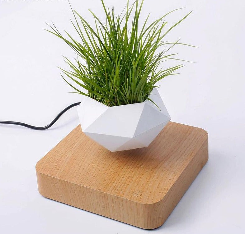 Levitating Air Bonsai Pot - TwoProducts.net